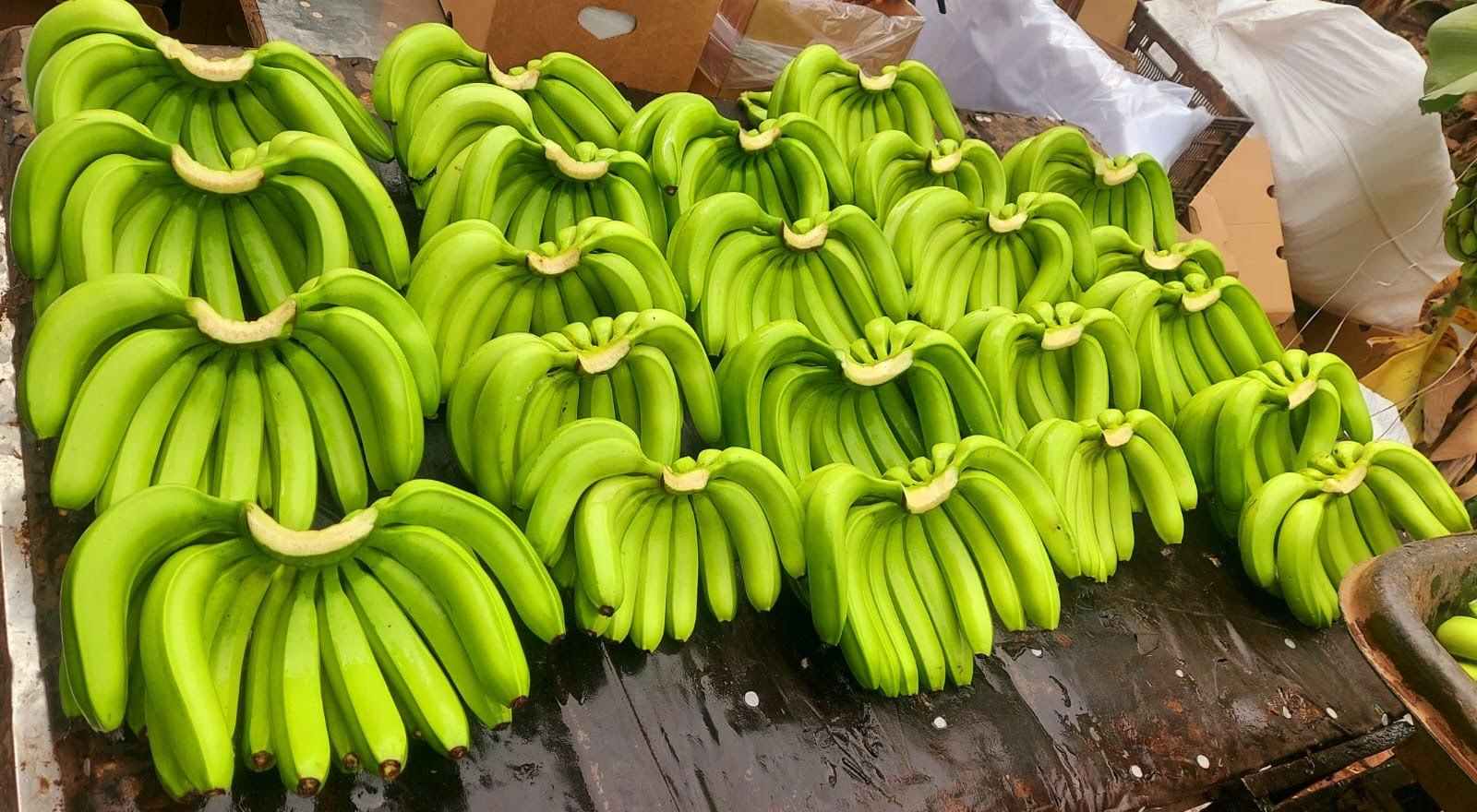 Organic Fresh Fruits